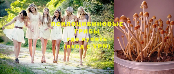 МДМА Алексеевка