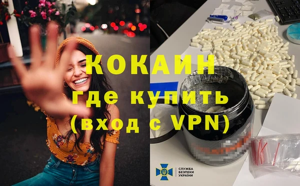 соль ск Алзамай
