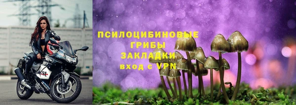 тгк Алексин