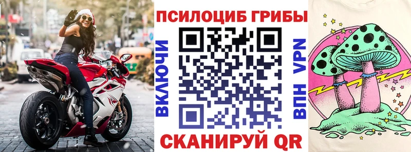 Галлюциногенные грибы Psilocybe  Приозерск 